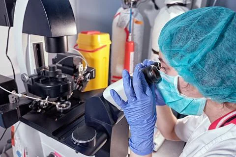 Embryologist looking through a microscope and adding sperm to egg in laborato Stock Photos