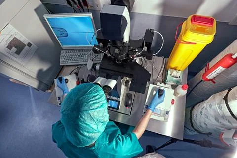 Embryologist microscope Stock Photos
