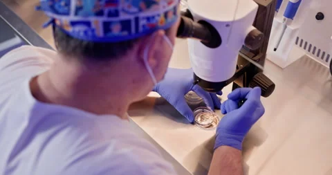 Embryologist Performing In Vitro Fertilization Procedure in Laboratory Video stock 276412154