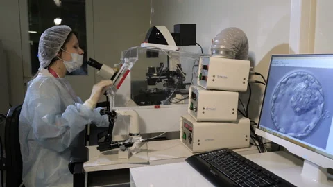 An embryologist prepares to perform artificial insemination Stock Footage 97465810