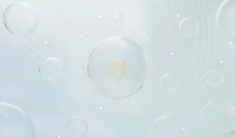 Embryonic cell  Illustrazione stock