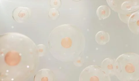 Embryonic cell Illustrazione stock