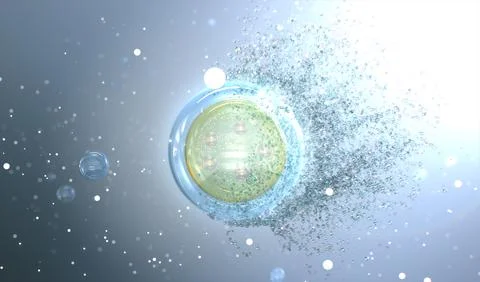 Embryonic Cell Stock Illustration