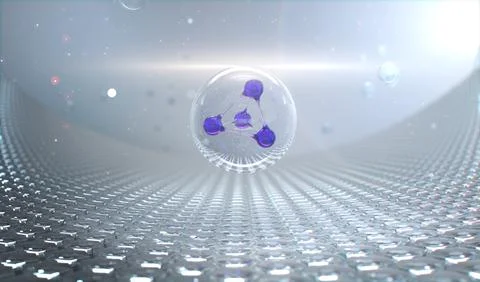 Embryonic Cell Stock Illustration