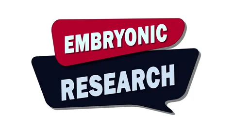 Embryonic research – Scientific studies focused on early-stage embryos Stock Footage 308714788