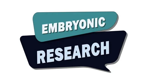 Embryonic research – The scientific study of early embryo development Stock Footage 308714874