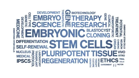 Embryonic Stem Cells animated word cloud,animation kinetic typography loop. Stock Footage 311423135