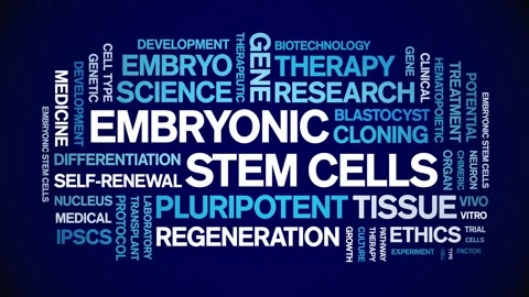 Embryonic Stem Cells animated word cloud,animation kinetic typography loop. Stock Footage 311423171