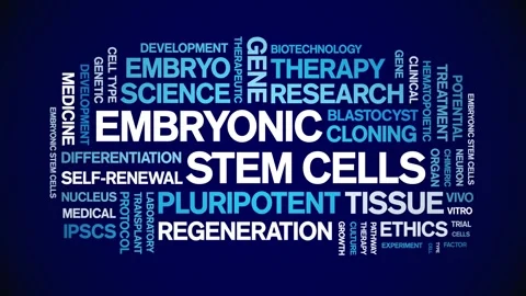 Embryonic Stem Cells animated word cloud,animation kinetic typography loop. Stock Footage 311423208