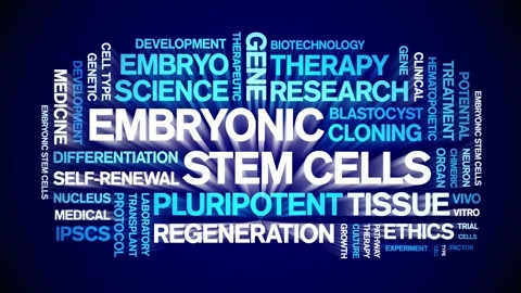 Embryonic Stem Cells animated word cloud,animation kinetic typography loop. Stock Footage 311423227
