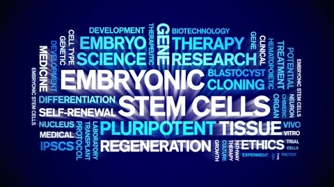 Embryonic Stem Cells animated word cloud,animation kinetic typography loop. Stock Footage 311423247