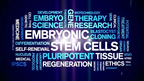 Embryonic Stem Cells animated word cloud,animation kinetic typography loop. Stock Footage 311423262