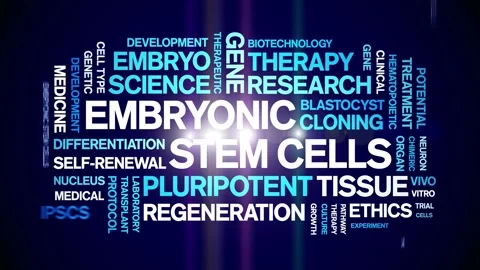 Embryonic Stem Cells animated word cloud,animation kinetic typography loop. Stock Footage 311423274