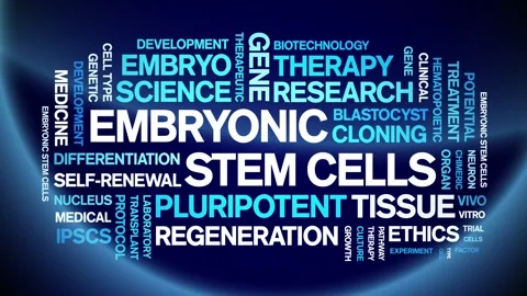 Embryonic Stem Cells animated word cloud,animation kinetic typography loop. Stock Footage 311423313