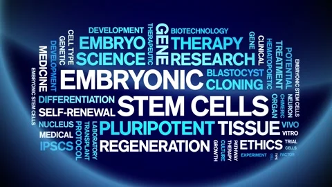 Embryonic Stem Cells animated word cloud,animation kinetic typography loop. Stock Footage 311423341