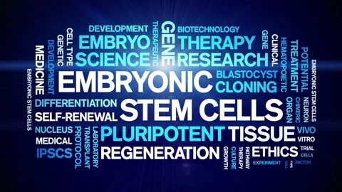 Embryonic Stem Cells animated word cloud,animation kinetic typography loop. Stock Footage 311423349