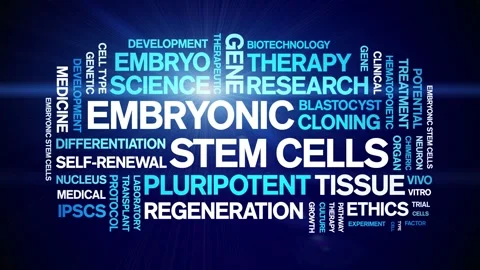 Embryonic Stem Cells animated word cloud,animation kinetic typography loop. Stock Footage 311423358