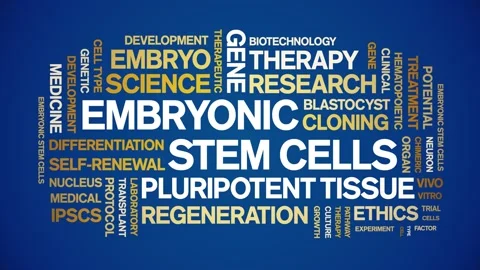 Embryonic Stem Cells animated word cloud,animation kinetic typography loop. Stock Footage 311423396