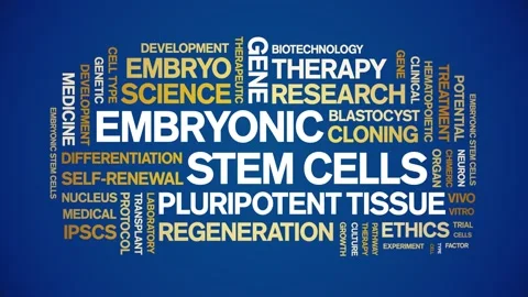 Embryonic Stem Cells animated word cloud,animation kinetic typography loop. Stock Footage 311423446
