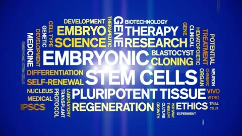 Embryonic Stem Cells animated word cloud,animation kinetic typography loop. Stock Footage 311423501