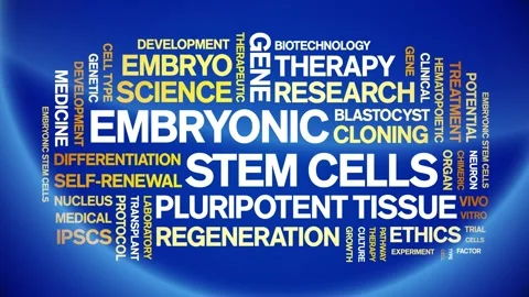Embryonic Stem Cells animated word cloud,animation kinetic typography loop. Stock Footage 311423522