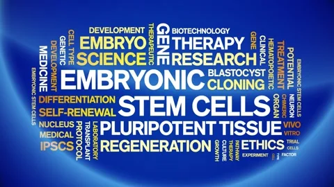 Embryonic Stem Cells animated word cloud,animation kinetic typography loop. Stock Footage 311423550