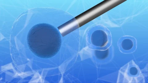 Embryonic stem cells are known as pluripotent stem cells medical research Stock Footage 85771215