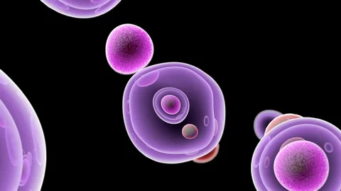 Embryonic Stem Cells Cellular Stock Footage 123350685