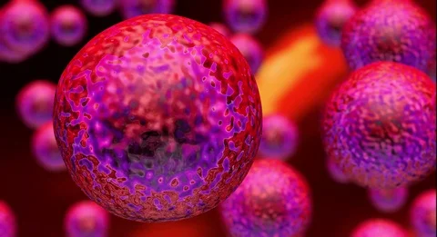 Embryonic stem cells Cellular therapy Regeneration Disease treatment Stock Footage 104207419