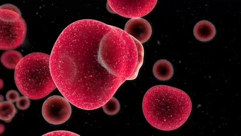 Embryonic Stem Cells Cellular-Therapy Regeneration Stock Footage 109453707