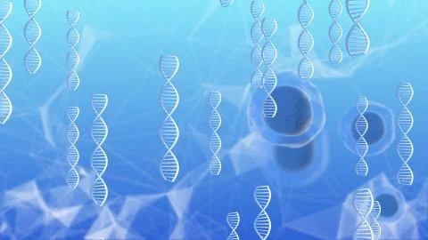 Embryonic stem cells early stage embryos called blastocysts medical research Stock Illustration