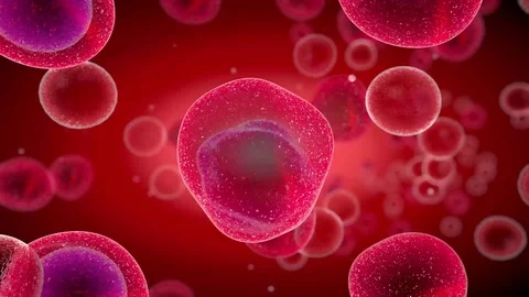Embryonic stem cells Stock Footage 103037535