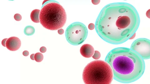 Embryonic Stem Cells Stock Footage 109213594