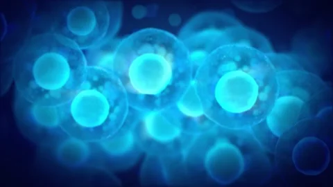 Embryonic stem cells Stock Footage 134675207