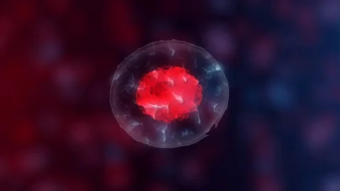 Embryonic stem cells or growth, rehabilitation and treatment of diseases, 3D Stock Footage 108456294