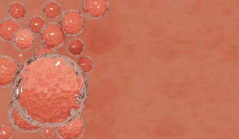 Embryonic stem cells.Cellular therapy.3d rendering Stock Illustration