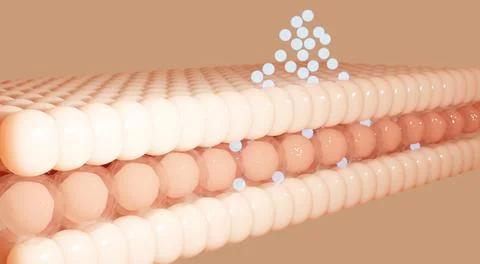 Embryonic stem cells.Cellular therapy.3d rendering Фото