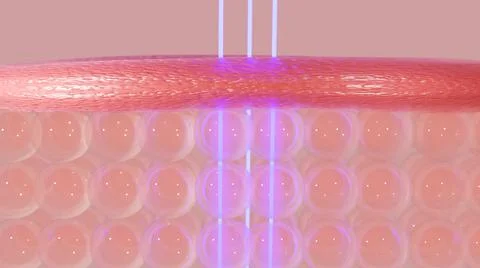 Embryonic stem cells.Cellular therapy.3d rendering Fotos Stock