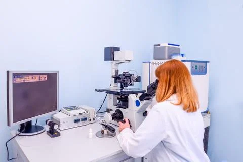 Embyologist examining a sperm sample through a stereo laboratory microscope a Stock Photos
