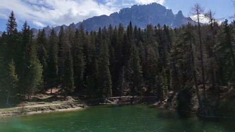 Emerald Alpine Lake Bordered by Dark Pine Tree Forest Stock Footage 341547466