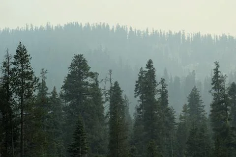 Emerald Bay, CA Stock Photos