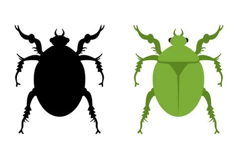 Emerald chafer top view. Green beetle isolated on white background. Vector il Stock Illustration