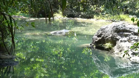 An Emerald colored pool of water in the Jungle Stock Footage 74291893