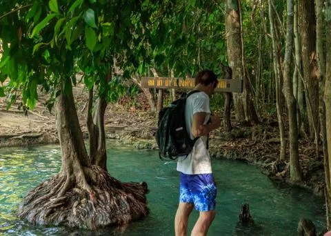 Emerald crystal blue water pool in Thailand, washed trees Stock Photos