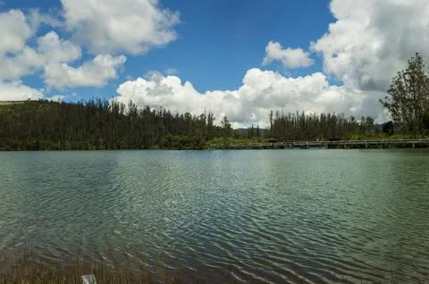Emerald dam water interconnected with another dam water in the bridge area Stock Photos