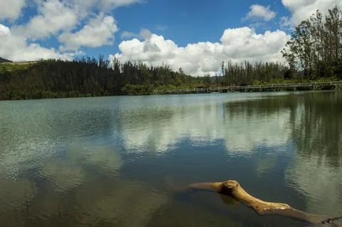 Emerald dam water interconnected with another dam water in the bridge area Stock Photos