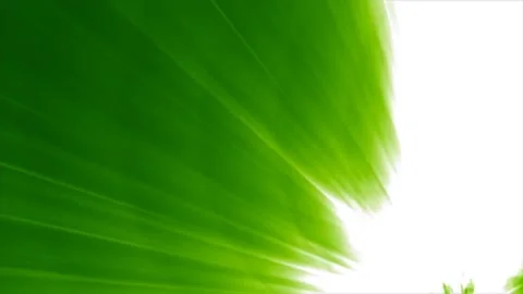 "Emerald Edge: Dynamic Green Cutting Patterns in a Mesmerizing Visual Dance" Stock Footage 277191960