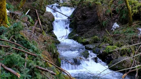 Emerald Falls, Columbia River Gorge National Scenic Area, Oregon Stock Footage 74249261
