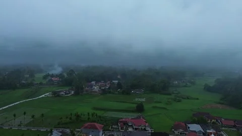 Emerald Fields Embrace a Quiet Hamlet Under a Blanket of Morning Mist and G.. Stock-Footage 337268613