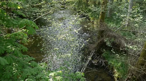 Emerald Flow 库存影片 4272804